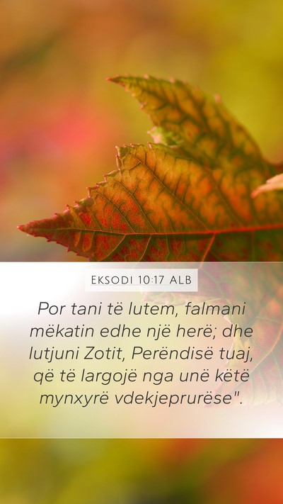 Eksodi 10:17 ALB Bible Verse Image