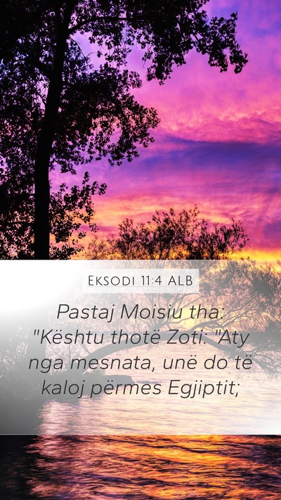 Eksodi 11:4 ALB Bible Verse Image