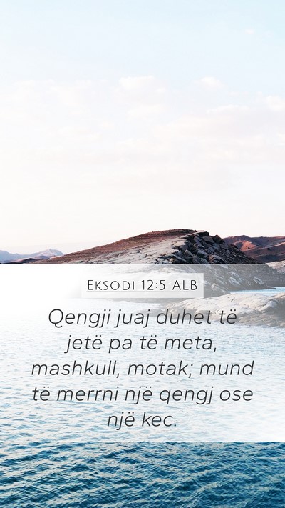Eksodi 12:5 ALB Bible Verse Image