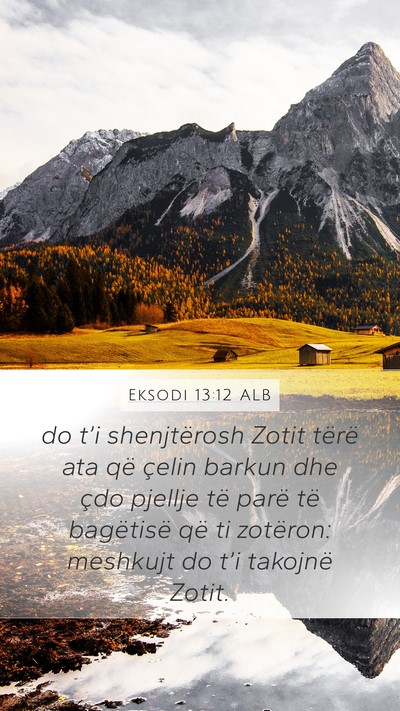 Eksodi 13:12 ALB Bible Verse Image