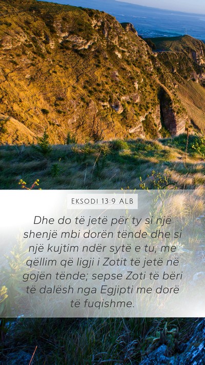 Eksodi 13:9 ALB Bible Verse Image