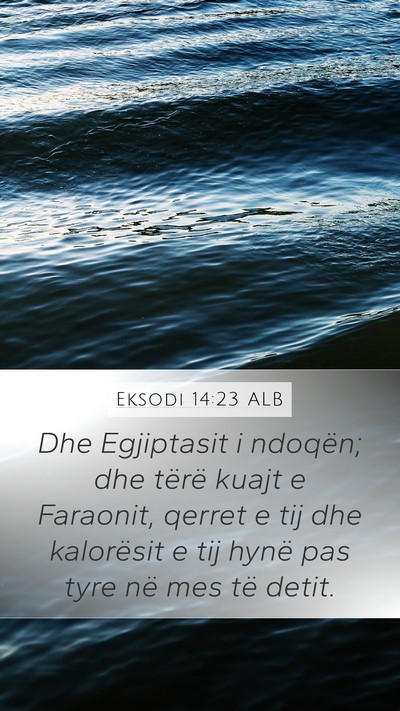 Eksodi 14:23 ALB Bible Verse Image