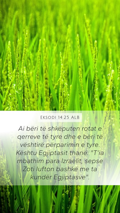 Eksodi 14:25 ALB Bible Verse Image