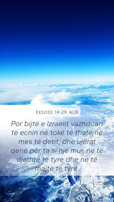 Eksodi 14:29 ALB Bible Verse Image