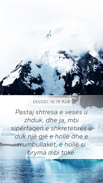 Eksodi 16:14 ALB Bible Verse Image
