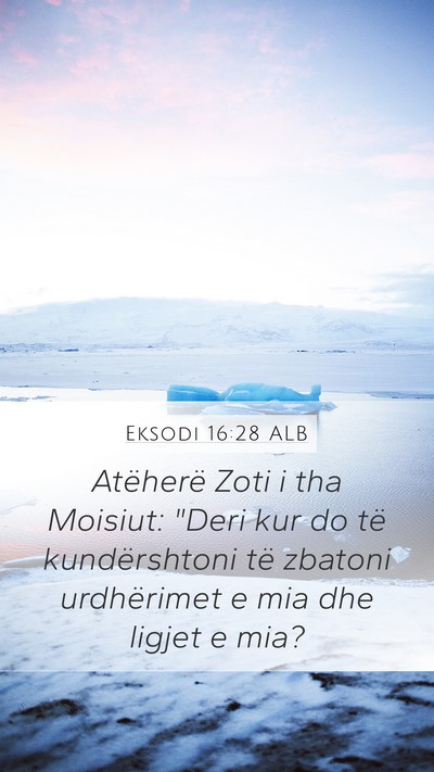 Eksodi 16:28 ALB Bible Verse Image