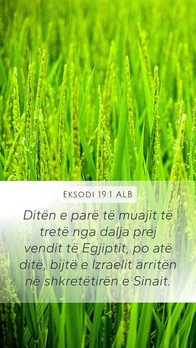 Eksodi 19:1 ALB Bible Verse Image