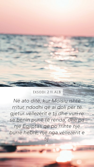 Eksodi 2:11 ALB Bible Verse Image