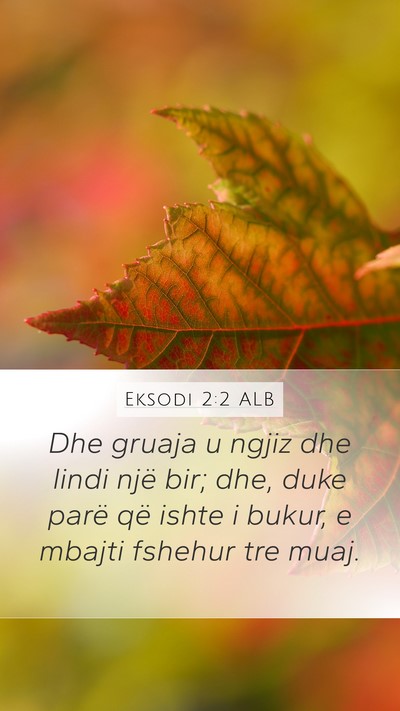 Eksodi 2:2 ALB Mobile Phone Wallpaper - Dhe gruaja u ngjiz dhe lindi një bir; dhe, duke - Mobile Bible Verse Wallpaper