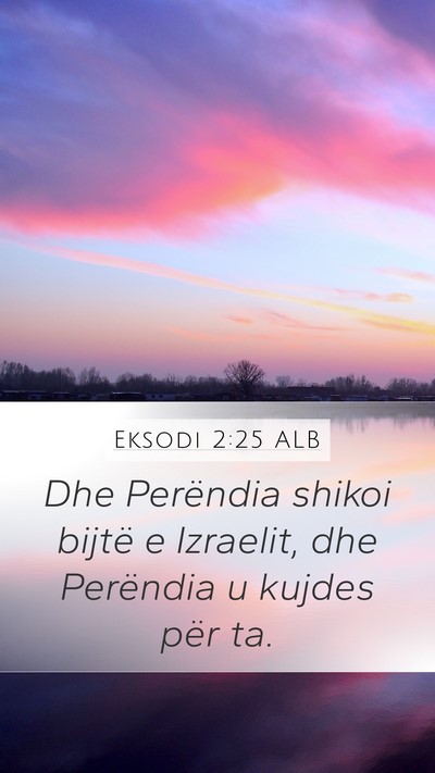 Eksodi 2:25 ALB Bible Verse Image