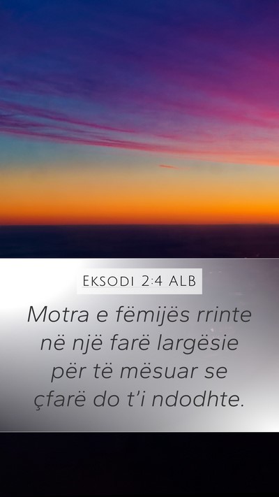 Eksodi 2:4 ALB Mobile Phone Wallpaper - Motra e fëmijës rrinte në një farë largësie - Mobile Bible Verse Wallpaper