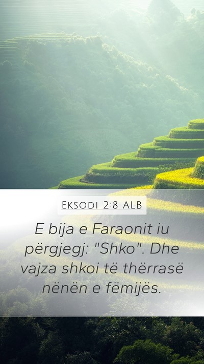 Eksodi 2:8 ALB Mobile Phone Wallpaper - E bija e Faraonit iu përgjegj: 