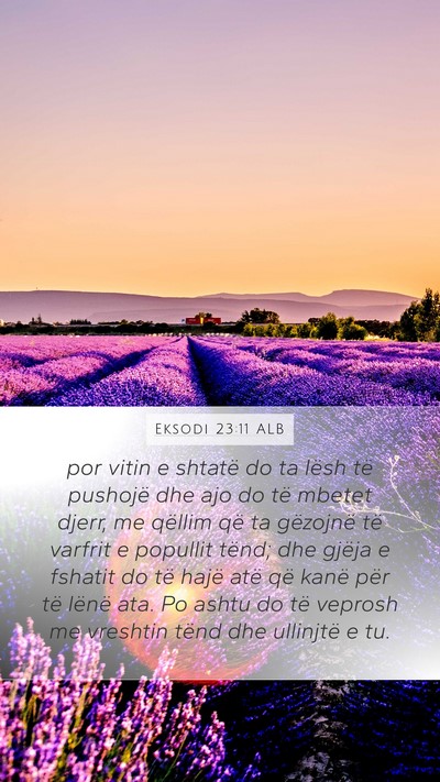 Eksodi 23:11 ALB Bible Verse Image