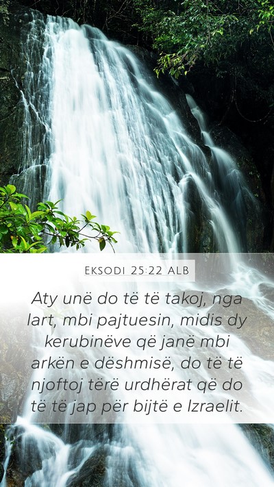 Eksodi 25:22 ALB Bible Verse Image