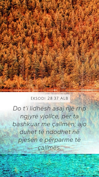 Eksodi 28:37 ALB Mobile Phone Wallpaper - Do t’i lidhësh asaj një rrip ngjyrë vjollce, - Mobile Bible Verse Wallpaper