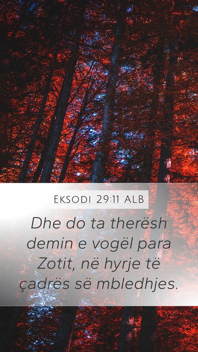 Eksodi 29:11 ALB Bible Verse Image
