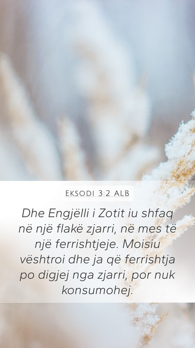 Eksodi 3:2 ALB Bible Verse Image