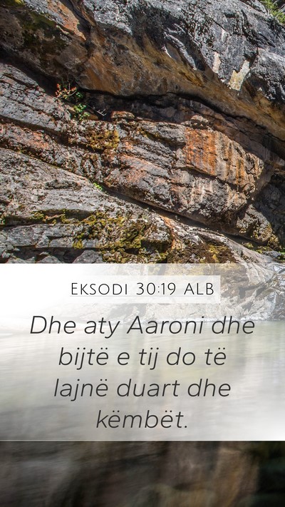 Eksodi 30:19 ALB Bible Verse Image