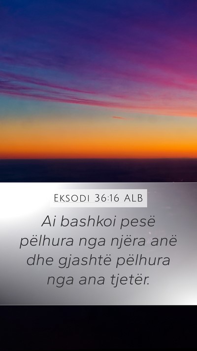 Eksodi 36:16 ALB Mobile Phone Wallpaper - Ai bashkoi pesë pëlhura nga njëra anë dhe - Mobile Bible Verse Wallpaper