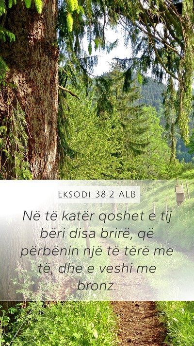 Eksodi 38:2 ALB Bible Verse Image