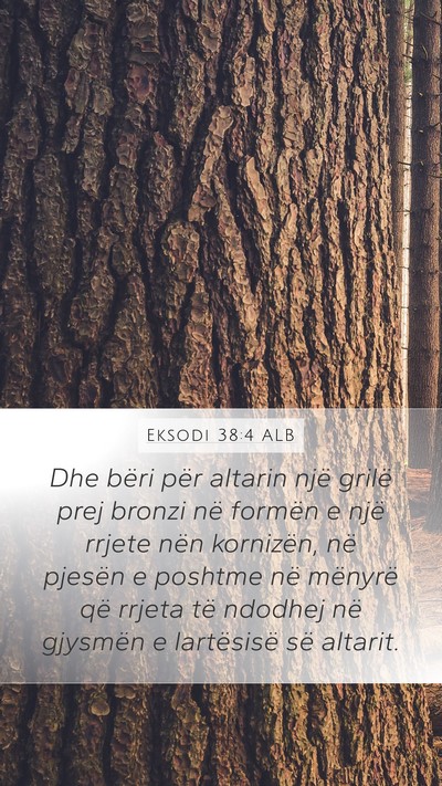 Eksodi 38:4 ALB Bible Verse Image