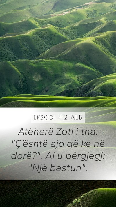 Eksodi 4:2 ALB Bible Verse Image