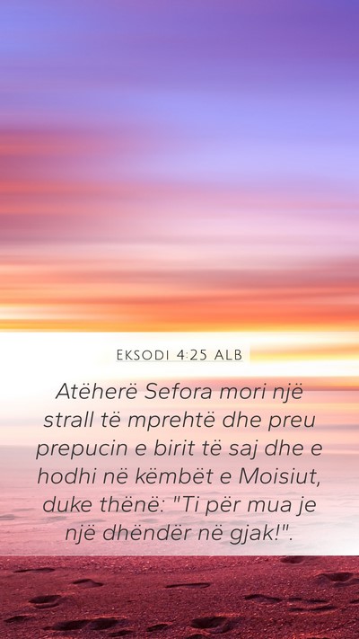 Eksodi 4:25 ALB Bible Verse Image