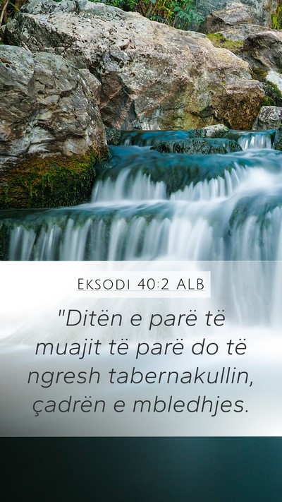 Eksodi 40:2 ALB Bible Verse Image
