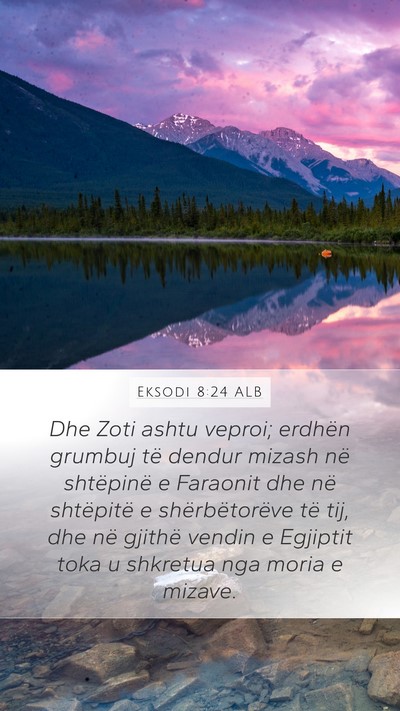 Eksodi 8:24 ALB Bible Verse Image