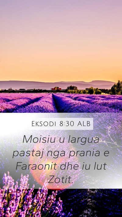 Eksodi 8:30 ALB Bible Verse Image