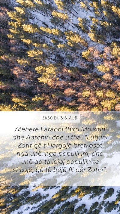 Eksodi 8:8 ALB Bible Verse Image