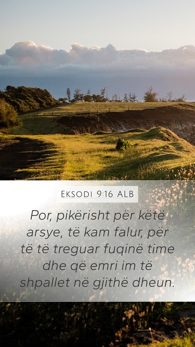 Eksodi 9:16 ALB Bible Verse Image