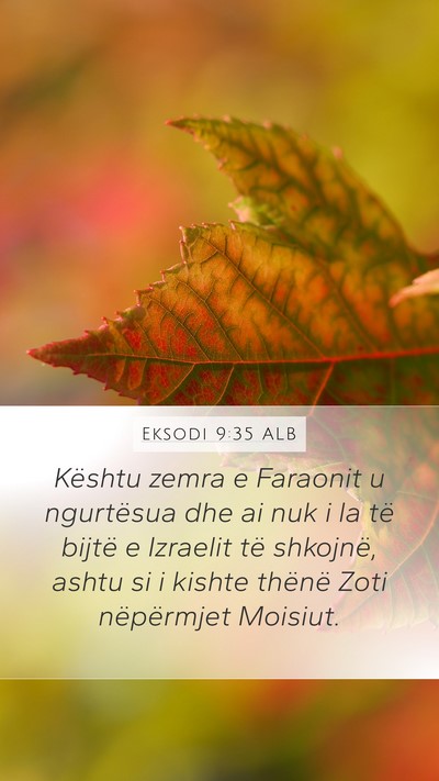 Eksodi 9:35 ALB Bible Verse Image