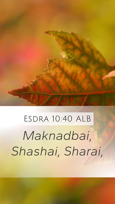 Esdra 10:40 ALB Mobile Phone Wallpaper - Maknadbai, Shashai, - Mobile Bible Verse Wallpaper