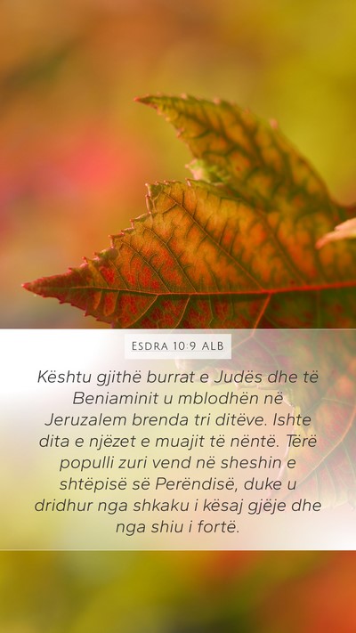 Esdra 10:9 ALB Bible Verse Image