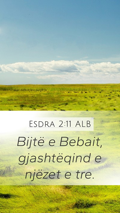 Esdra 2:11 ALB Bible Verse Image