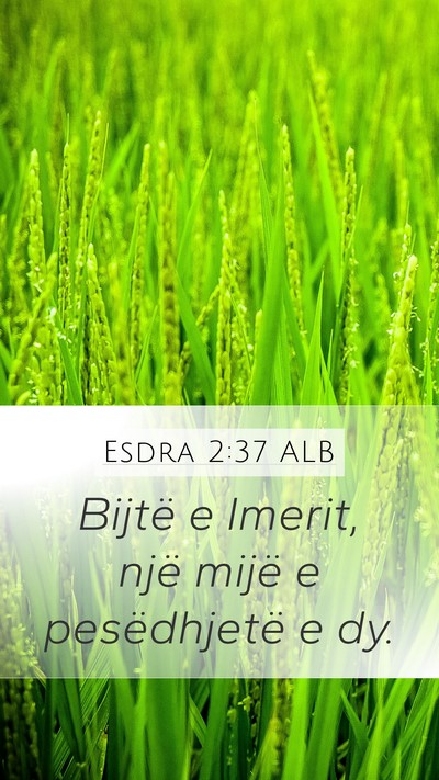 Esdra 2:37 ALB Bible Verse Image