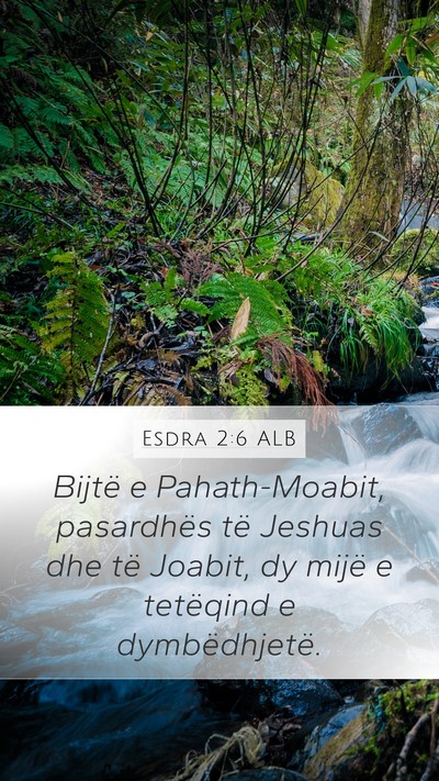 Esdra 2:6 ALB Bible Verse Image