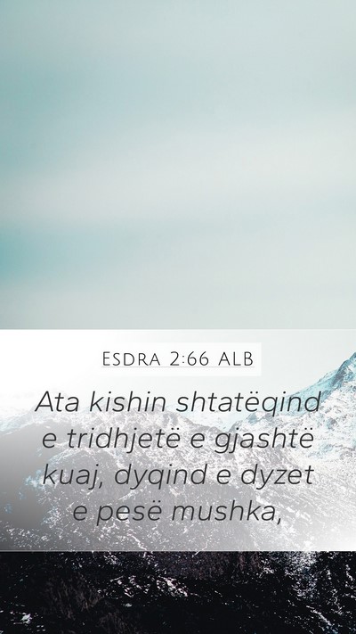 Esdra 2:66 ALB Mobile Phone Wallpaper - Ata kishin shtatëqind e tridhjetë e gjashtë - Mobile Bible Verse Wallpaper
