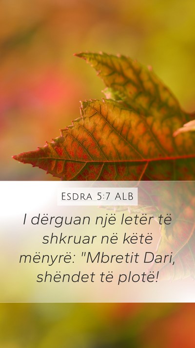 Esdra 5:7 ALB Bible Verse Image