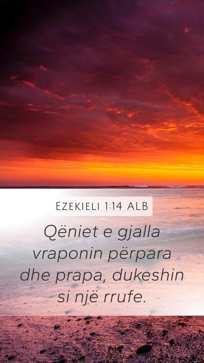 Ezekieli 1:14 ALB Bible Verse Image