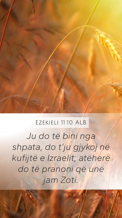 Ezekieli 11:10 ALB Bible Verse Image