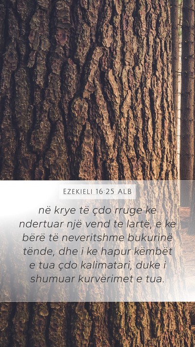 Ezekieli 16:25 ALB Bible Verse Image