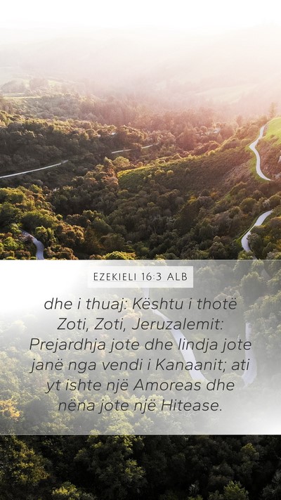 Ezekieli 16:3 ALB Bible Verse Image