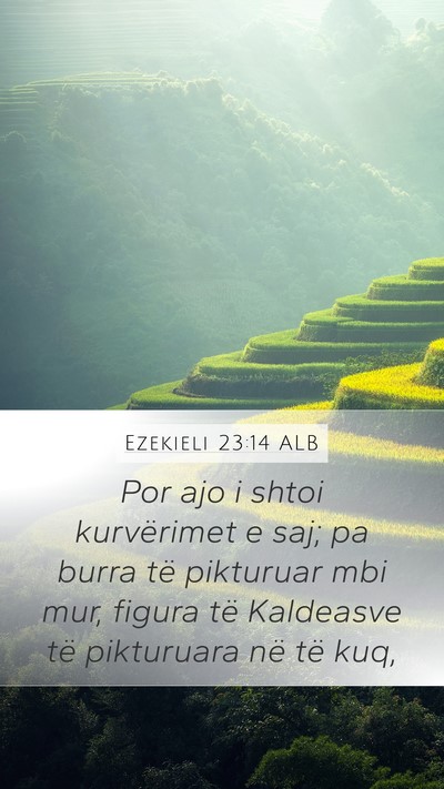 Ezekieli 23:14 ALB Bible Verse Image