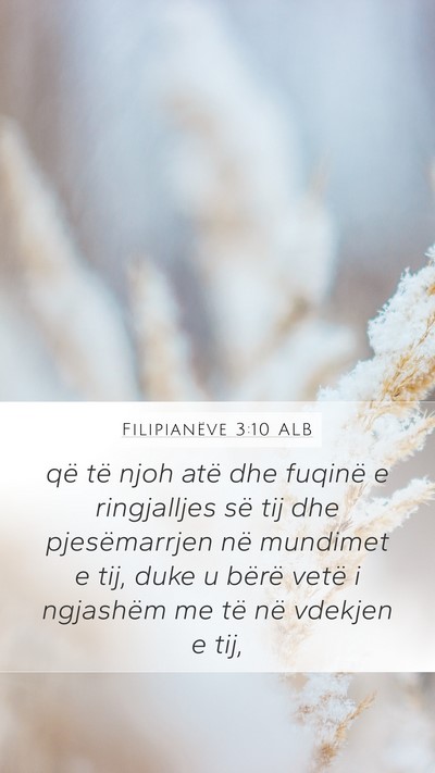 Filipianëve 3:10 ALB Bible Verse Image