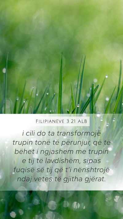Filipianëve 3:21 ALB Bible Verse Image
