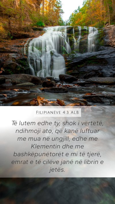 Filipianëve 4:3 ALB Bible Verse Image