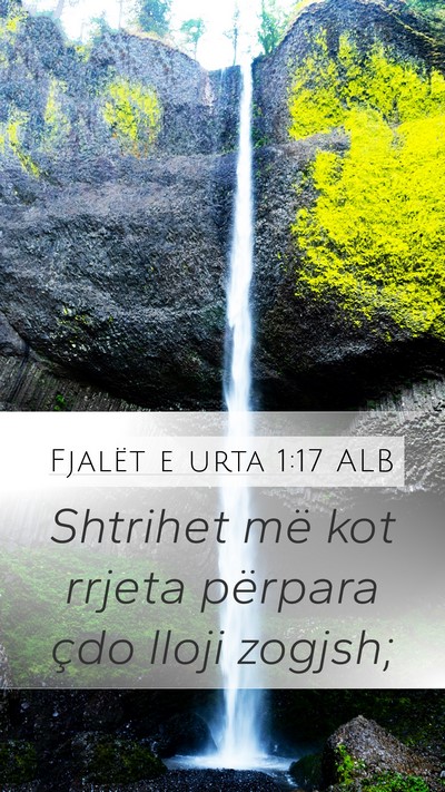 Fjalët e urta 1:17 ALB Bible Verse Image