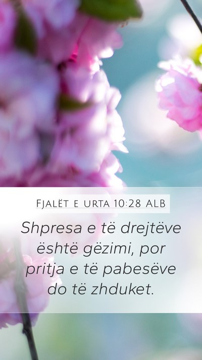 Fjalët e urta 10:28 ALB Bible Verse Image